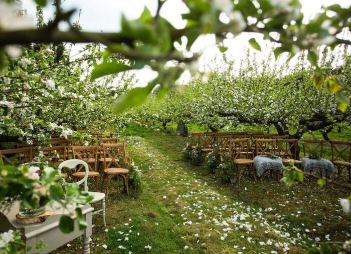 Blossom Tree Ceremonies